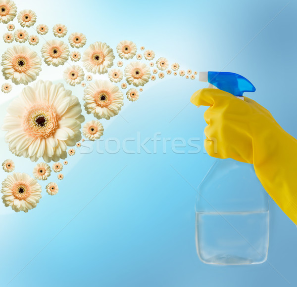 close up of hand with cleanser spraying flowers Stock photo © dolgachov