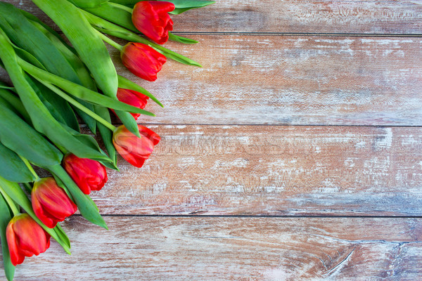 赤 チューリップ 木製 ガーデニング 花 ストックフォト © dolgachov