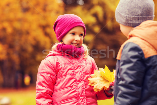 Băiat toamnă artar frunze fată Imagine de stoc © dolgachov