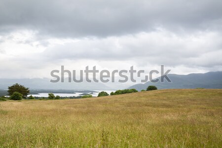 Meer heuvels Ierland natuur landschap Stockfoto © dolgachov