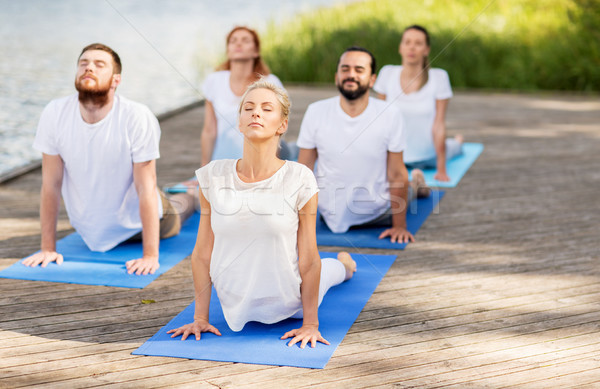 Grupy ludzi jogi odkryty fitness sportu Zdjęcia stock © dolgachov