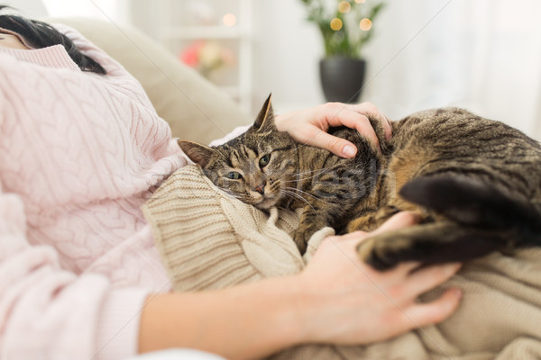 close up of owner with tabby cat in bed at home Stock photo © dolgachov