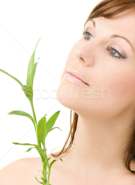 Brunetka bambusa zdjęcie dziewczyna szczęśliwy zielone Zdjęcia stock © dolgachov