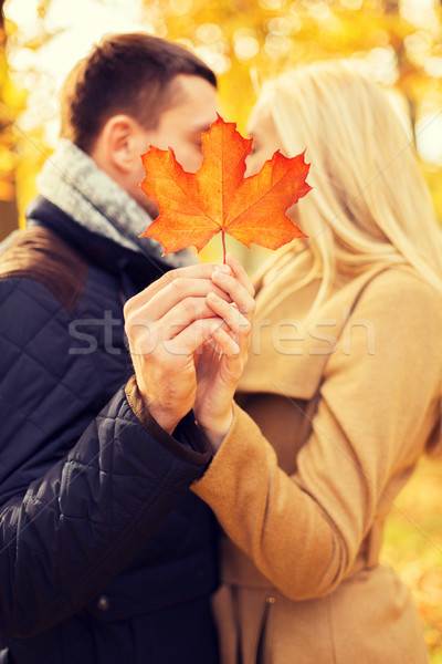 Couple baiser automne parc amour [[stock_photo]] © dolgachov