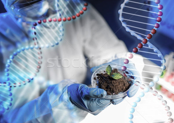 close up of scientist hands with plant and soil Stock photo © dolgachov