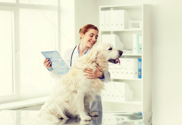 Gelukkig arts retriever hond dierenarts kliniek Stockfoto © dolgachov