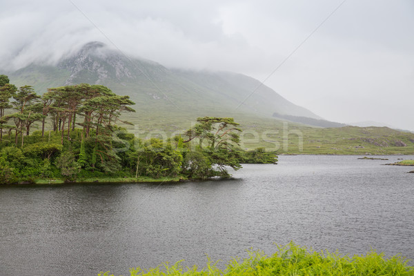 Stock photo: view to island in lake or river at ireland