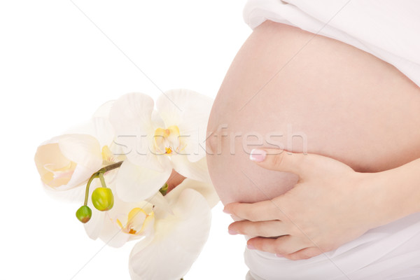 pregnant woman belly Stock photo © dolgachov