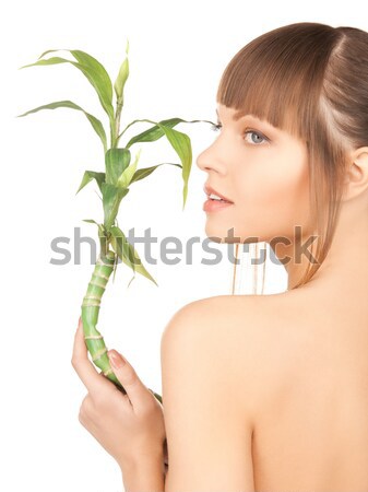 Stock photo: female torso with green leaf over white