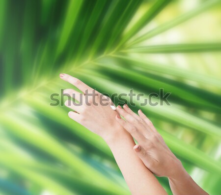 woman hands spraying perfume Stock photo © dolgachov