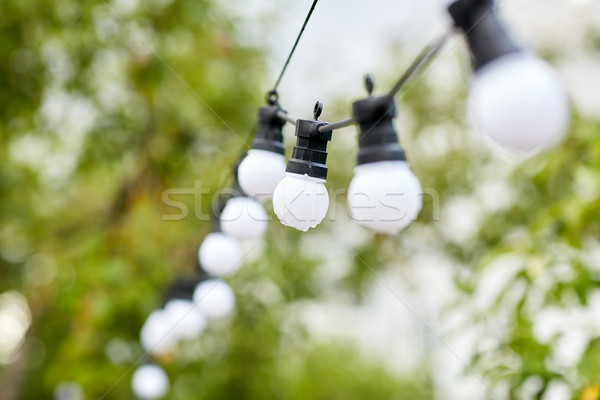 ストックフォト: 電球 · 花輪 · 絞首刑 · 雨の · 庭園