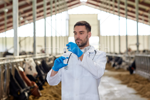 Foto stock: Veterinário · seringa · vacas · fazenda · agricultura · indústria