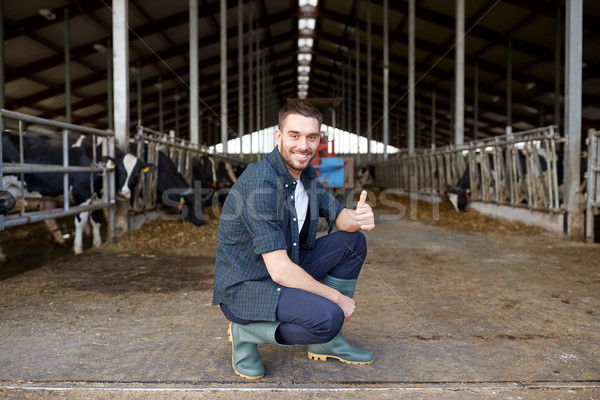 man or farmer with cows in cowshed on dairy farm Stock photo © dolgachov
