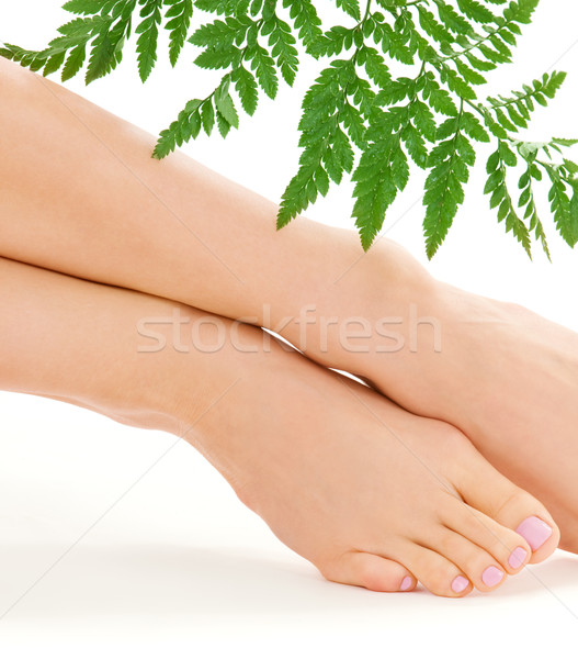 female feet with green leaf Stock photo © dolgachov