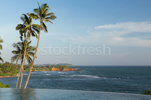 Kilátás végtelen perem medence óceán pálmafák Stock fotó © dolgachov