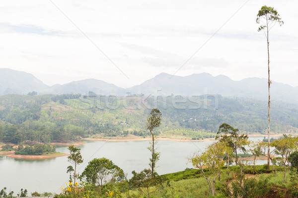 Meer rivier grond heuvels Sri Lanka Stockfoto © dolgachov