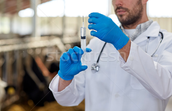 Lekarz weterynarii strony szczepionka strzykawki gospodarstwa rolnictwa Zdjęcia stock © dolgachov