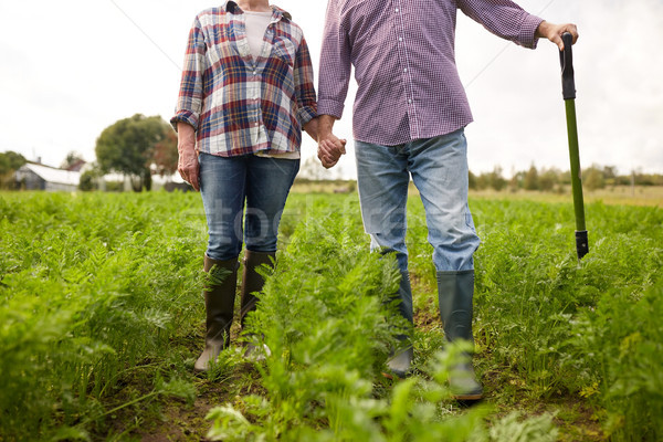 Stock photo: happy senior couple at summer farm