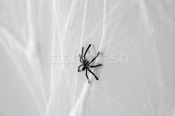 halloween decoration of black toy spider on cobweb Stock photo © dolgachov