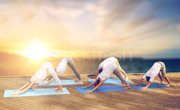 Groep mensen yoga hond pose buitenshuis fitness Stockfoto © dolgachov