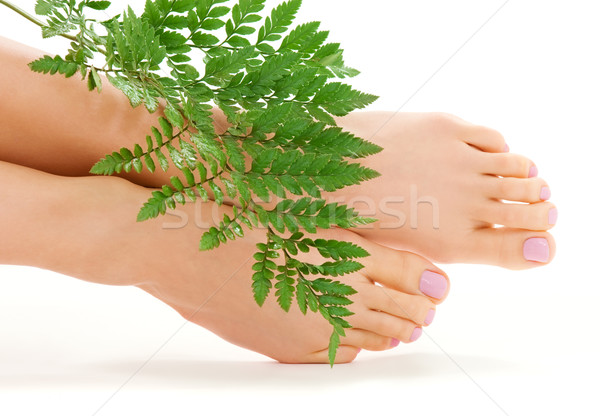 Stock foto: Weiblichen · Fuß · green · leaf · Bild · weiß · Frau