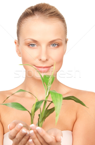 woman with sprout Stock photo © dolgachov