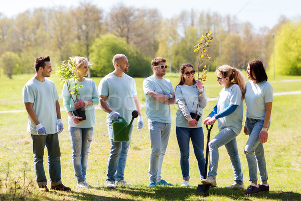 group of volunteers with trees and rake in park Stock photo © dolgachov