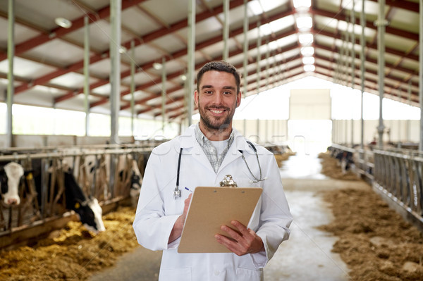 Stock photo: veterinarian with cows in cowshed on dairy farm