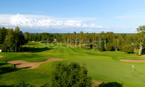 Natural peisaj golf câmp vedere joc Imagine de stoc © dolgachov