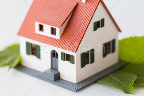 close up of house model and green leaves Stock photo © dolgachov