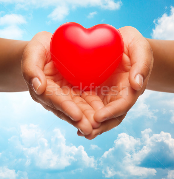 close up of female hands holding small red heart Stock photo © dolgachov