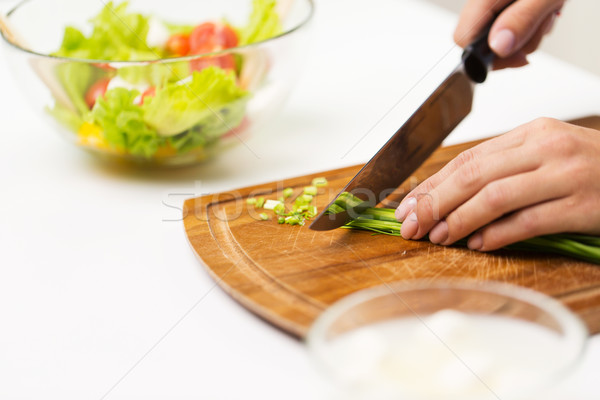 close up of woman chopping green onion with knife Stock photo © dolgachov