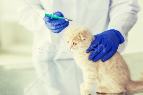 close up of vet making vaccine to kitten at clinic Stock photo © dolgachov
