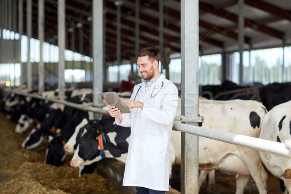 veterinarian with tablet pc and cows on dairy farm Stock photo © dolgachov