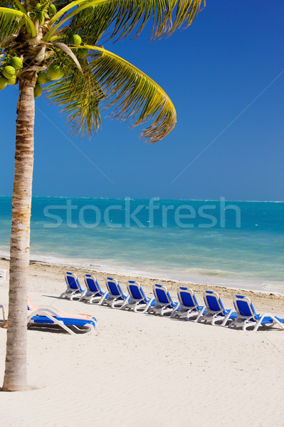 tropical resort Stock photo © dolgachov