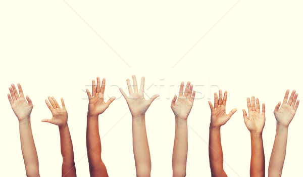human hands waving hands Stock photo © dolgachov
