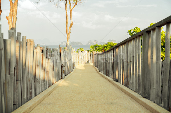 road with fence at seaside Stock photo © dolgachov