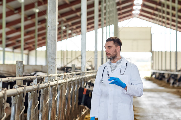 állatorvos injekciós tű tehenek farm mezőgazdaság ipar Stock fotó © dolgachov