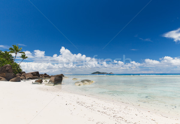 Stock photo: island beach in indian ocean on seychelles