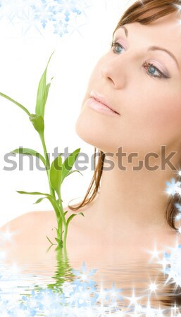 女子 綠葉 圖片 白 健康 綠色 商業照片 © dolgachov