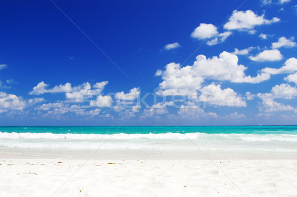 tropical beach Stock photo © dolgachov