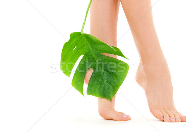 female feet with green leaf Stock photo © dolgachov