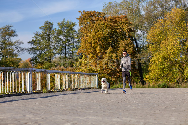 happy man with labrador dog running outdoors Stock photo © dolgachov