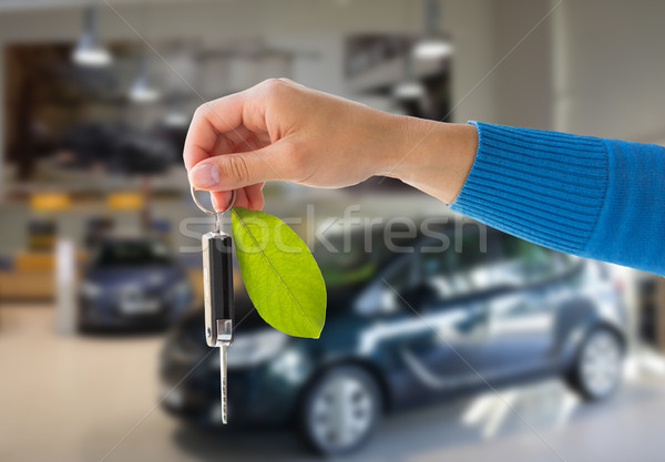 close up of hand holding car key with green leaf Stock photo © dolgachov