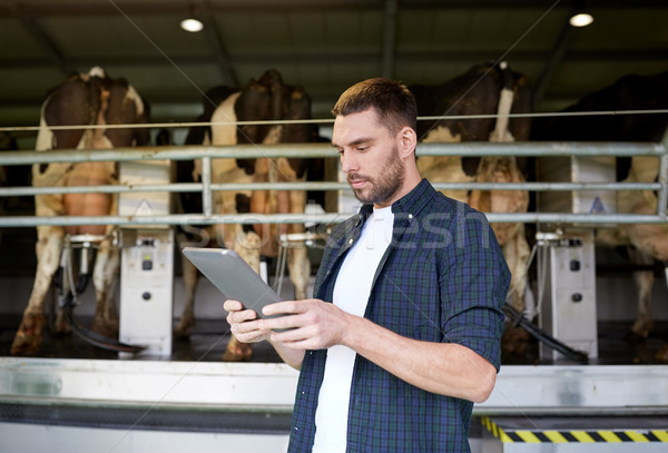 [[stock_photo]]: Jeune · homme · vaches · produits · laitiers · ferme · agriculture