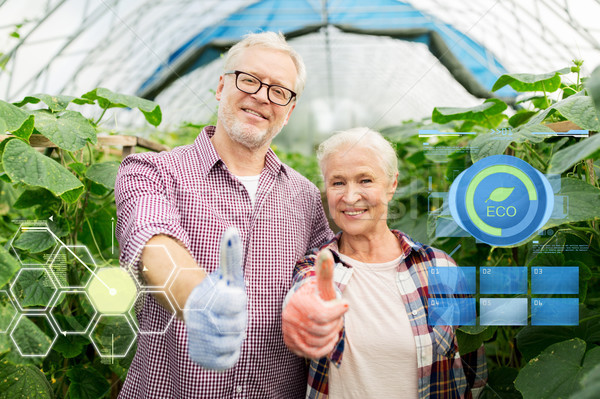 Stock photo: happy senior couple at farm showing thumbs up