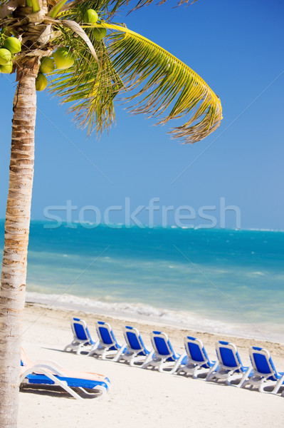 tropical resort Stock photo © dolgachov