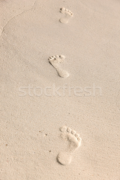 footprints on sand Stock photo © dolgachov