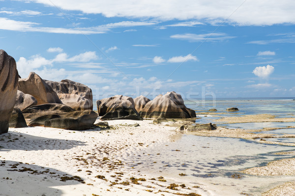 Rotsen Seychellen eiland strand indian oceaan Stockfoto © dolgachov