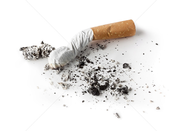 Cigarro bumbum cinza isolado saúde drogas Foto stock © donatas1205